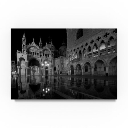 Trademark Fine Art Moises Levy 'Aqua Alta Landscape' Canvas Art, 22x32 ALI23317-C2232GG